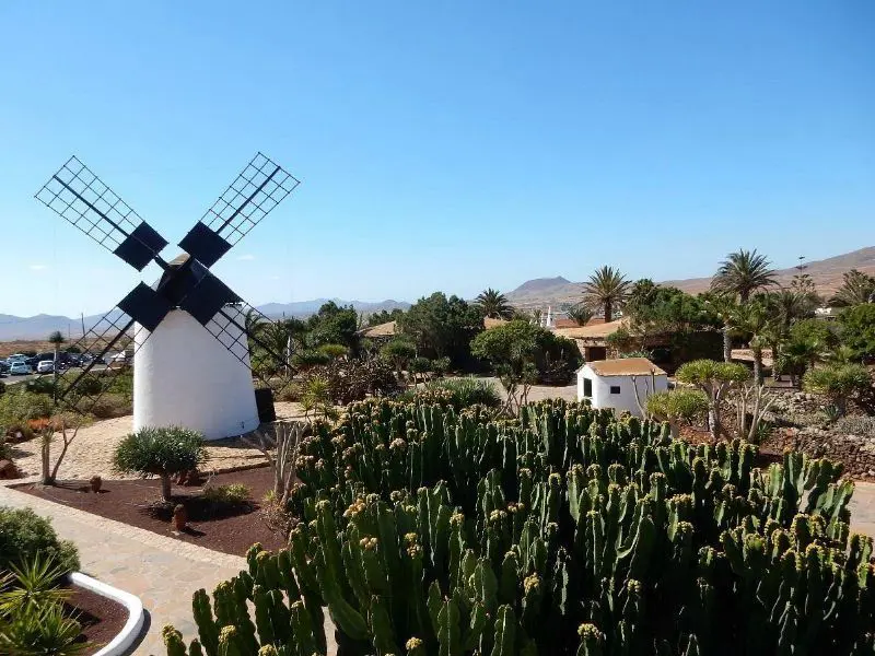 Museo del Queso Majorero-0